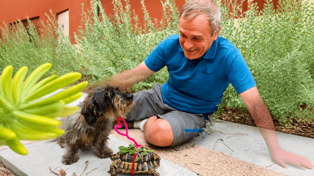 Quand la présence d’un animal contribue au bien-être des résidents