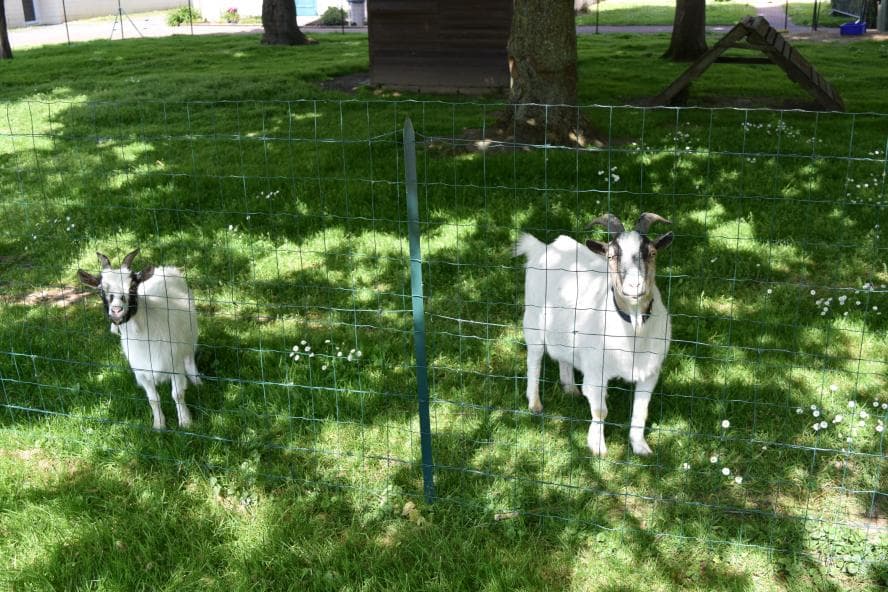 Résidence - Galerie de photos - Image 2 sur 2