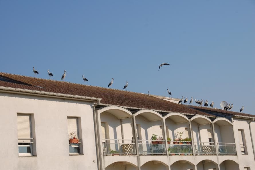 Résidence - Galerie de photos - Image 3 sur 3