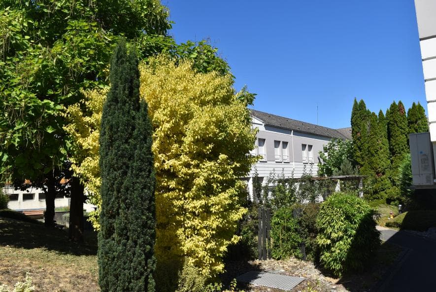 Résidence - Galerie de photos - Image 3 sur 3