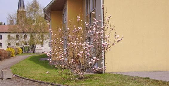 Résidence - Galerie de photos - Image 3 sur 4