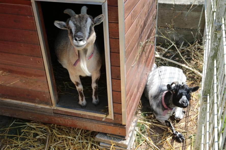 Résidence - Galerie de photos - Image 2 sur 7