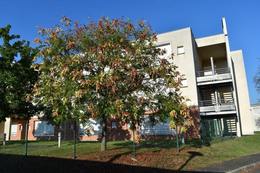 Résidence - Galerie de photos - Image 3 sur 4