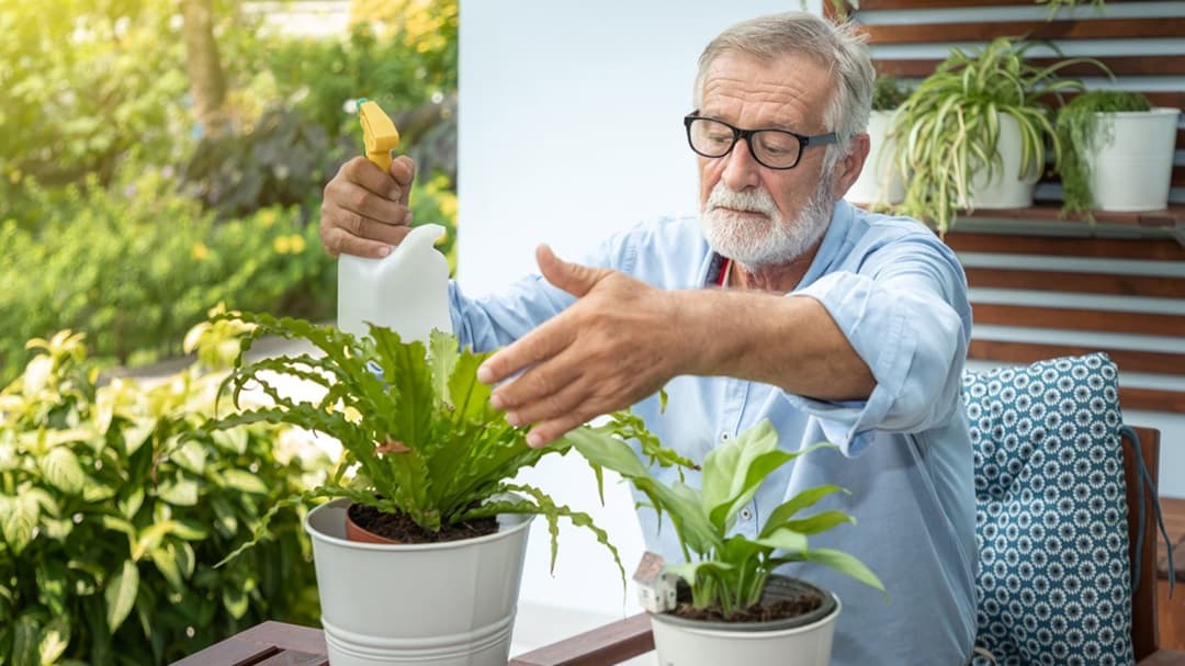 Les bienfaits de l’entretien des plantes pour les Seniors : une activité épanouissante